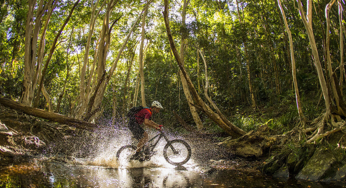 port-douglas-daintree-cycling-rainforest-adventure