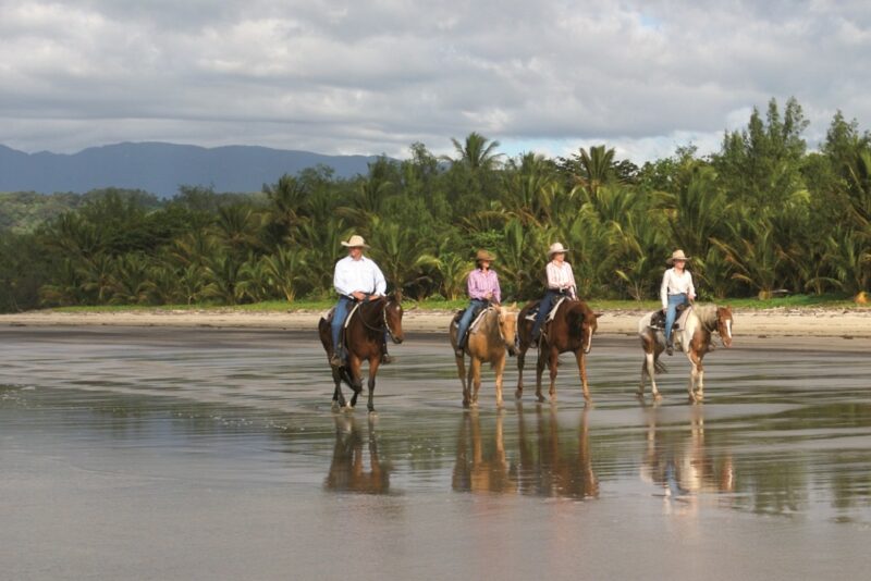 cape-tribulation-horse-riding