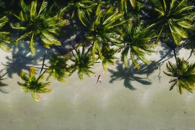 four-mile-beach-aerial-view-palm-tree-relax-credit-martinmacmahon