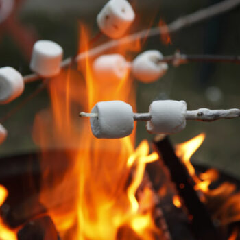 port-douglas-daintree-roasting-marshmallows-fire-camping