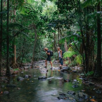 couple-hiking-daintree-rainforest