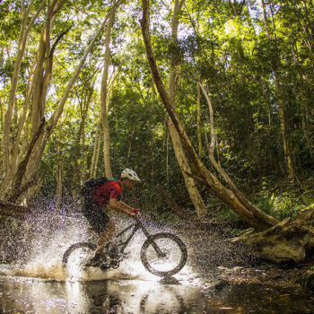 port-douglas-daintree-cycling-rainforest-adventure