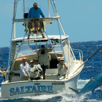 port-douglas-marlin-challenge-saltaire-boat