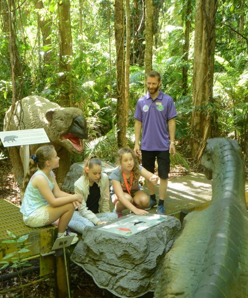 reef tours port douglas