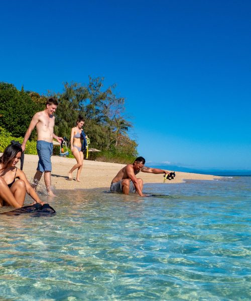 reef tours port douglas