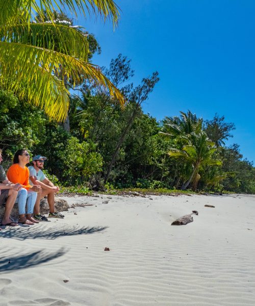 great barrier reef day tour from port douglas