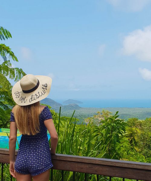 tropical journeys daintree