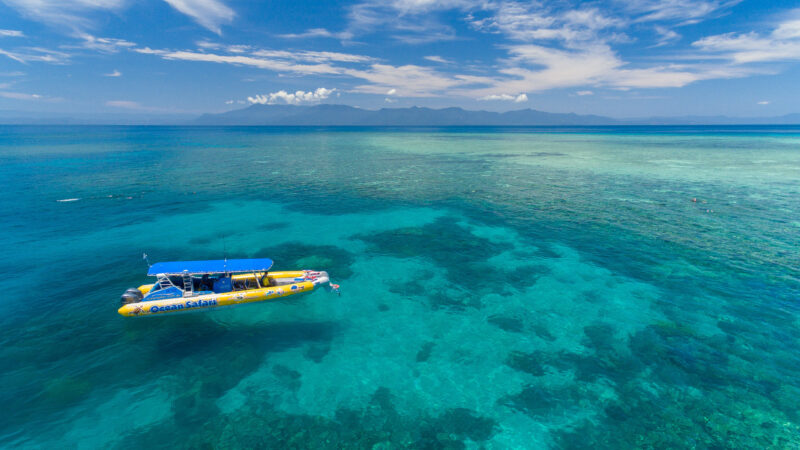 Reef tour from the Cape Tribulation in the Daintree Rainforest with Ocean Safari