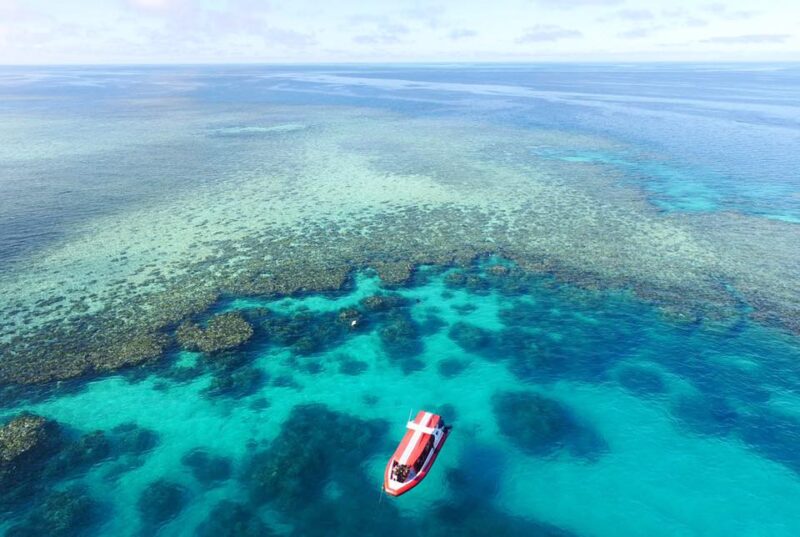 port-douglas-great-barrier-reef-reef-sprinter