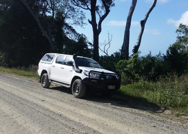 port douglas wildlife tours