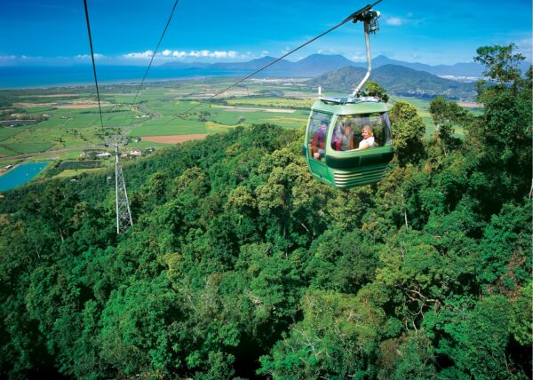 great barrier reef day tour from port douglas