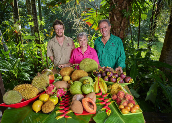 self tour daintree