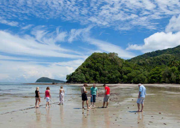 self tour daintree