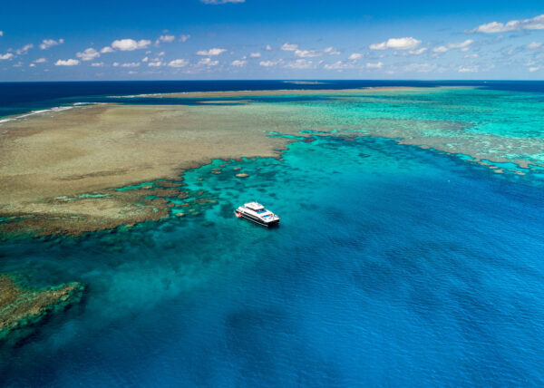 reef tours port douglas