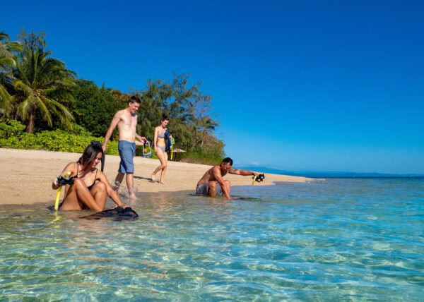 low isles snorkelling tour