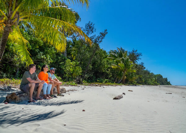 tropical journeys daintree