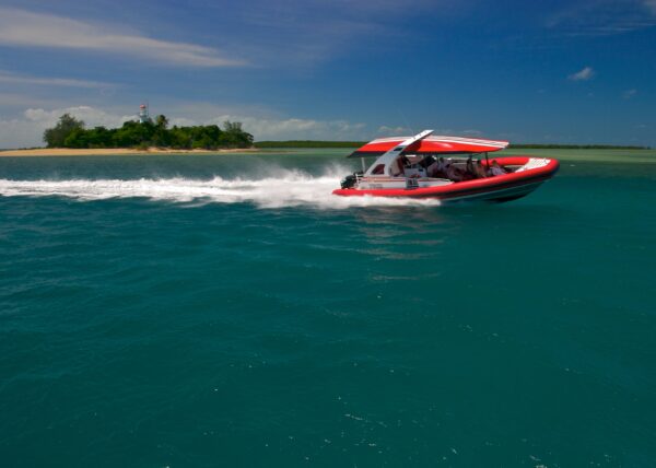 reef tours port douglas