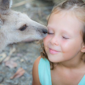 Little girl and kangaroo