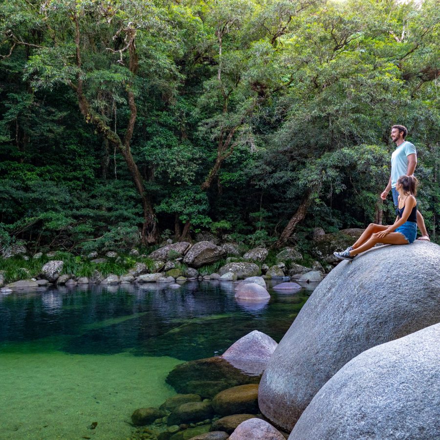 daintree specialised tours